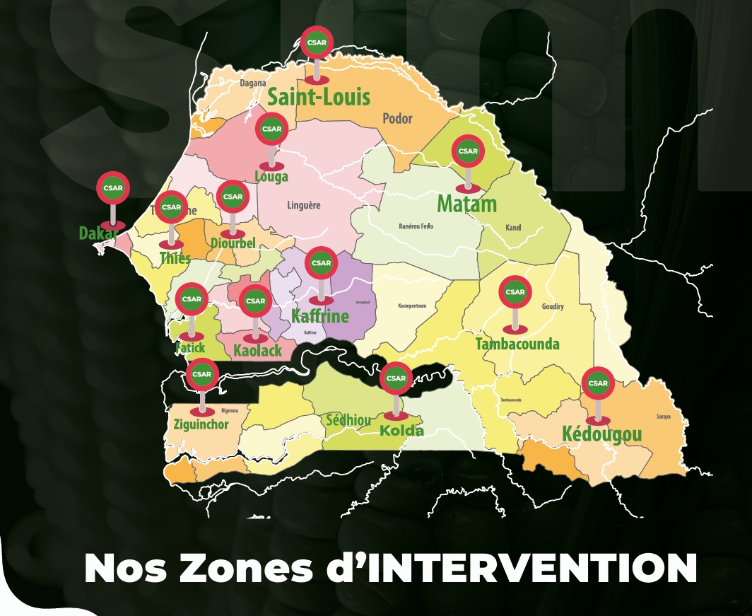 Données Statistiques